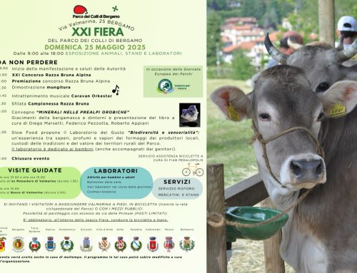 Convegno “Minerali nelle Prealpi Orobiche – Giacimenti nella bergamasca e dintorni”
